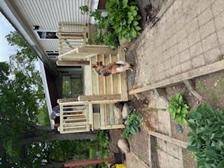 Deck stairs and landing