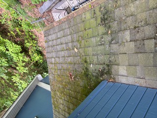 Mossy roof needing repair